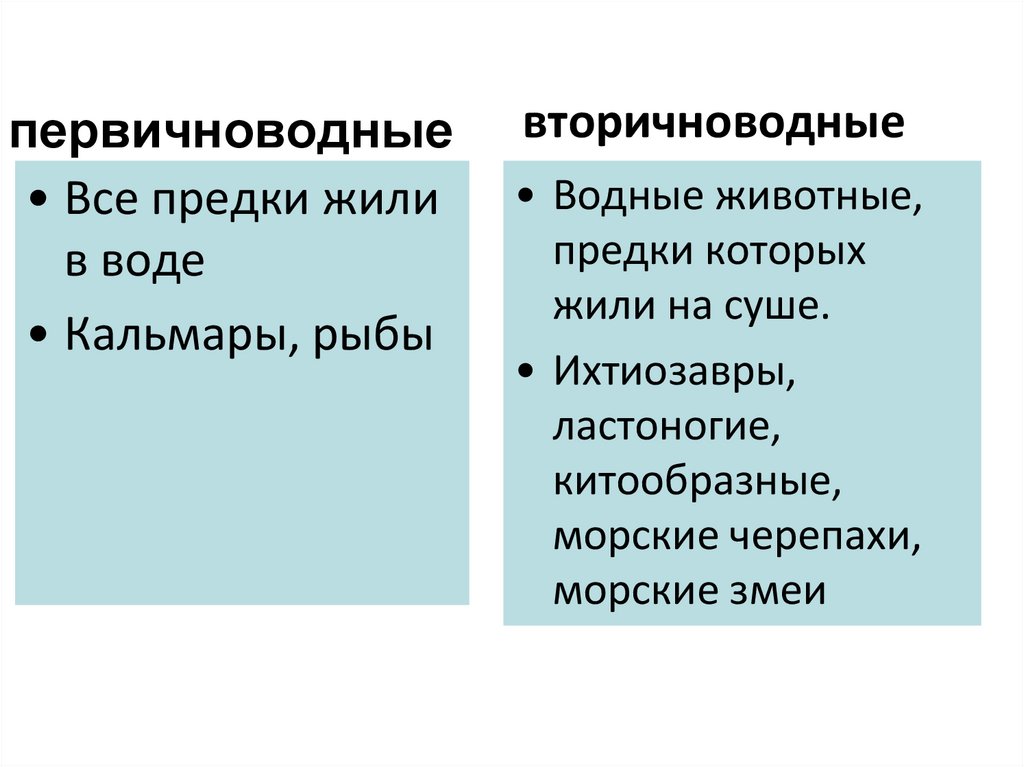 Окружающий мир