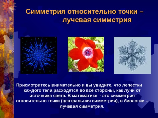Что такое лучевая симметрия тела с примерами. что такое лучевая симметрия