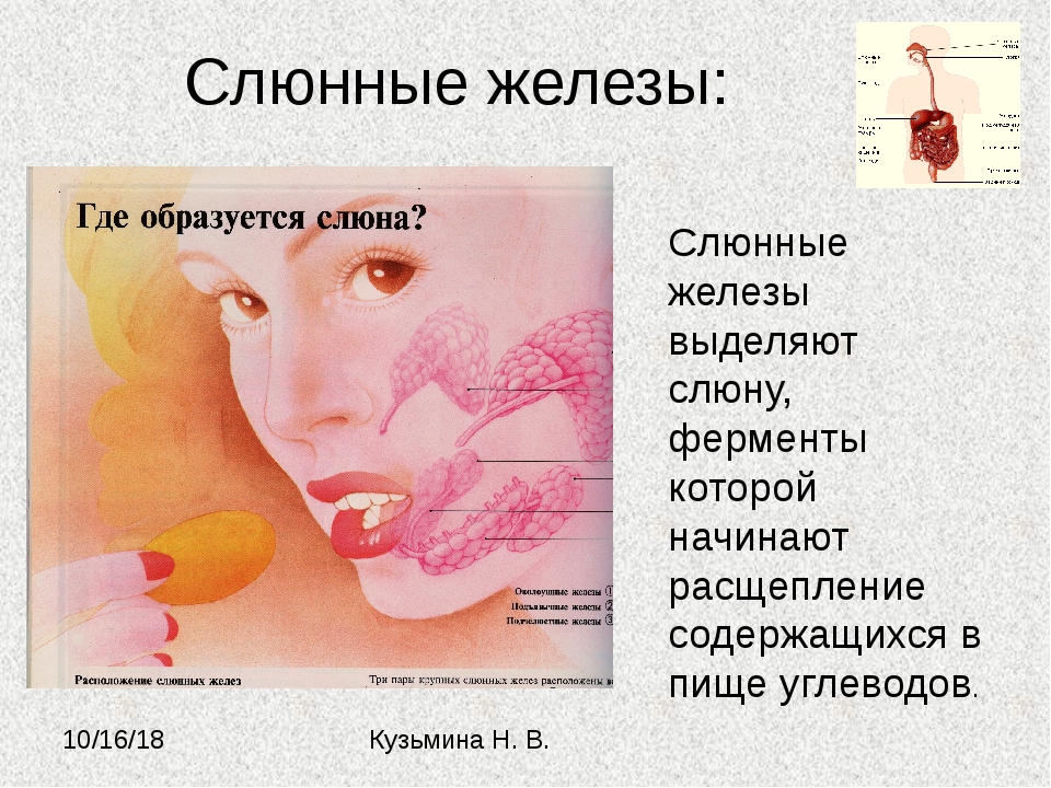 От стоматолога к гастроэнтерологу: налеты на зубах.