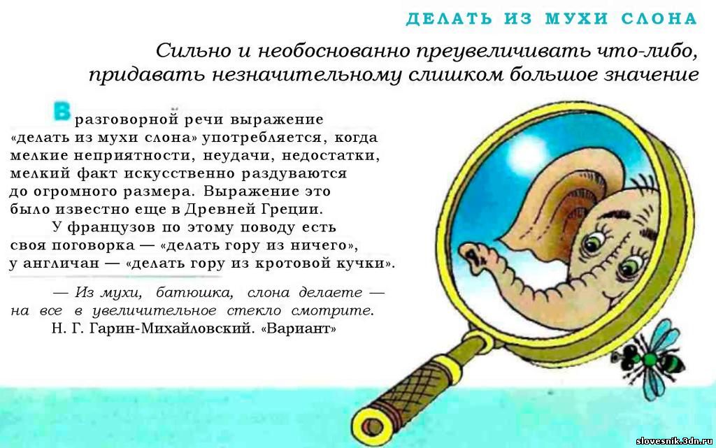 Что значит «быть под мухой» — откуда появилось выражение