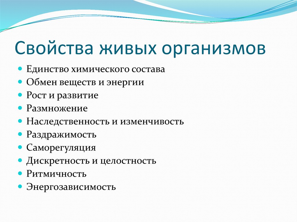 Что такое легаси в коде