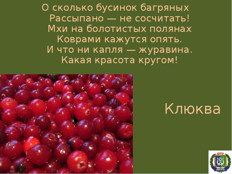 Ожерельем рассыпана клюква: что значит это выражение
