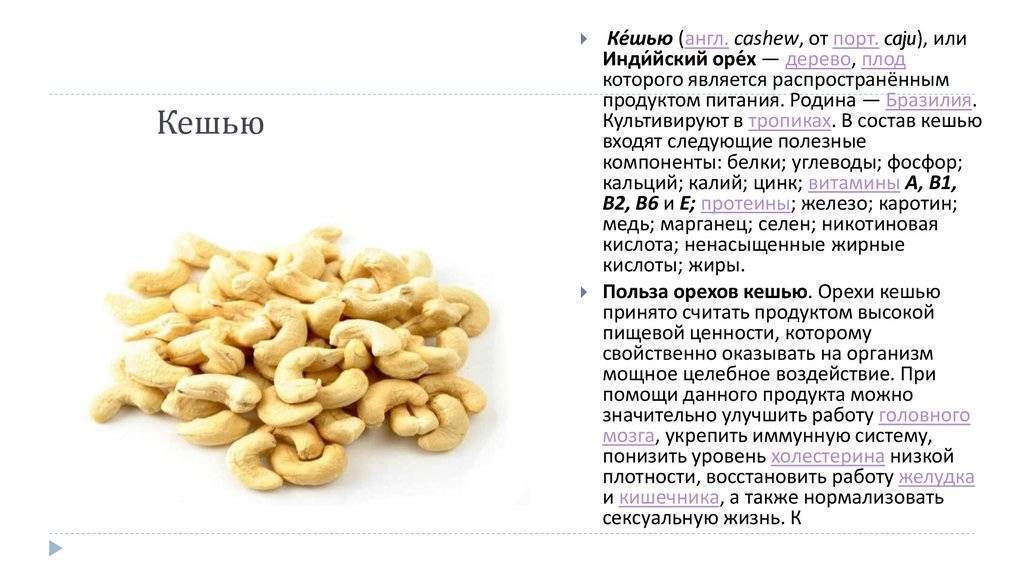 Как растет кешью: дерево кешью, где растет в россии и природе, акажу