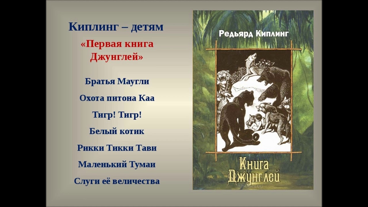 Кто такой маугли?