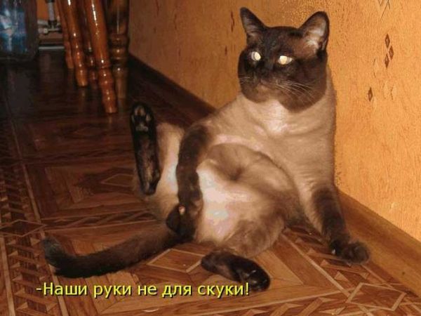 Зер гуд