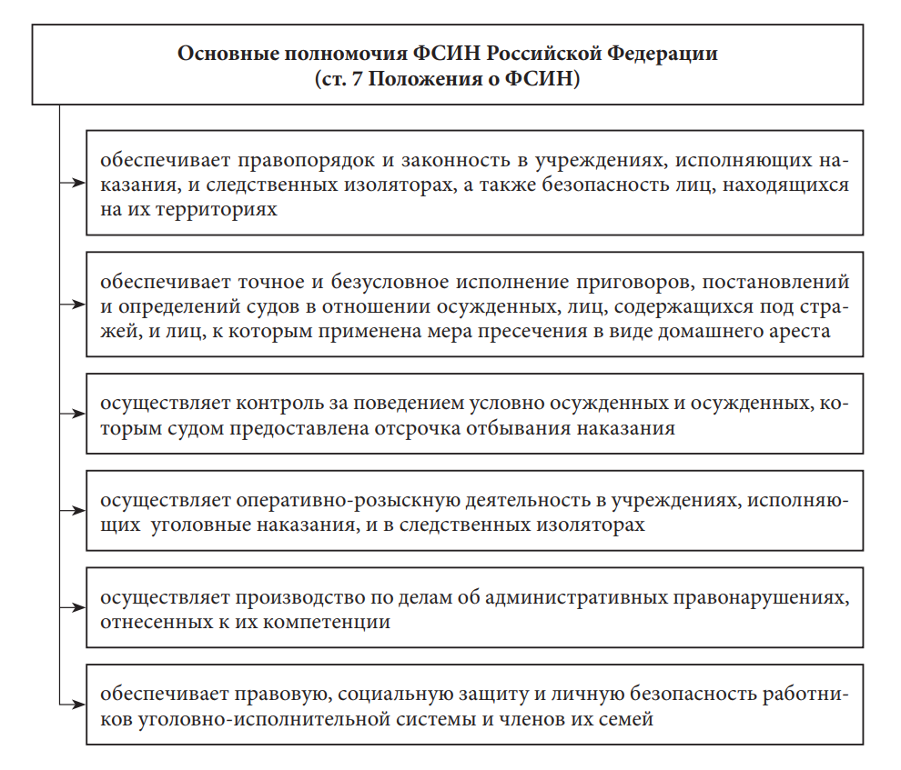 Что такое омг фсин: описание и особенности