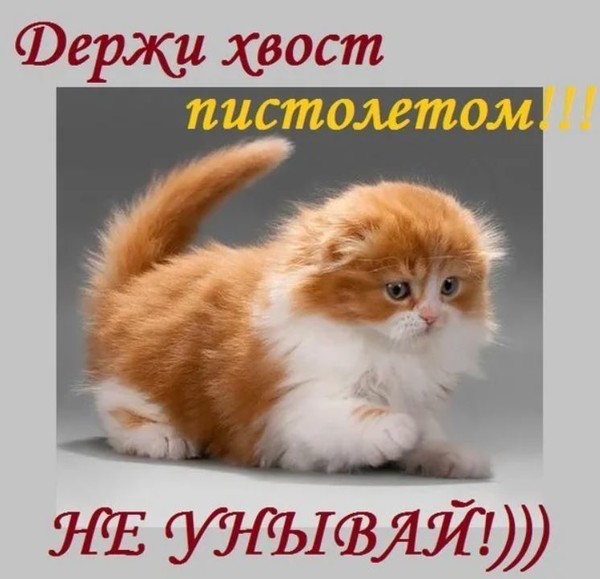 Что означает фразеологическое выражение "вилять хвостом"?
