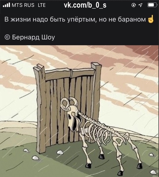 "упёртый как баран" - это про вас? - вопросник.про