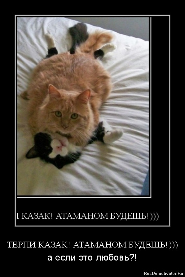 Терпи казак атаманом будешь - смысл пословицы - игра слов