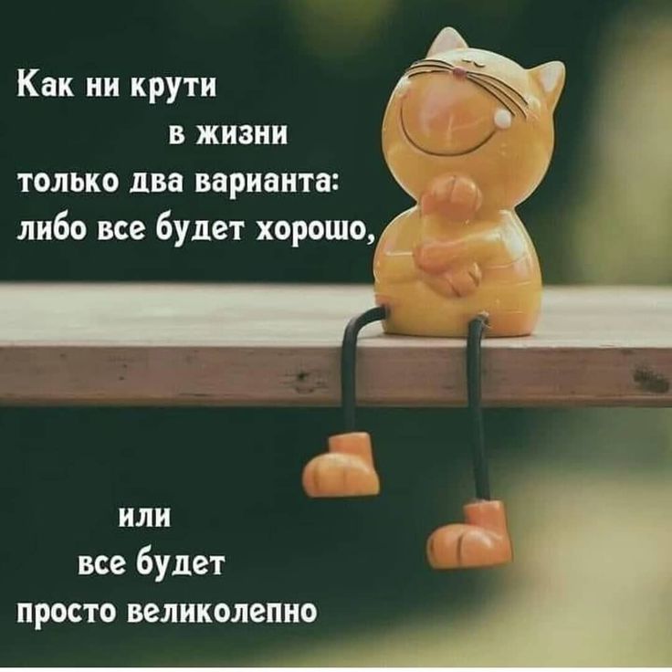 Гол как сокол: 10 фразеологизмов с непредсказуемым происхождением