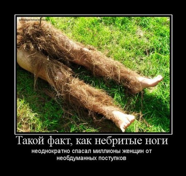 Брод, бродяга, бредить, бередить. этимология. — этимологический иллюстрированный интерактивный словарь