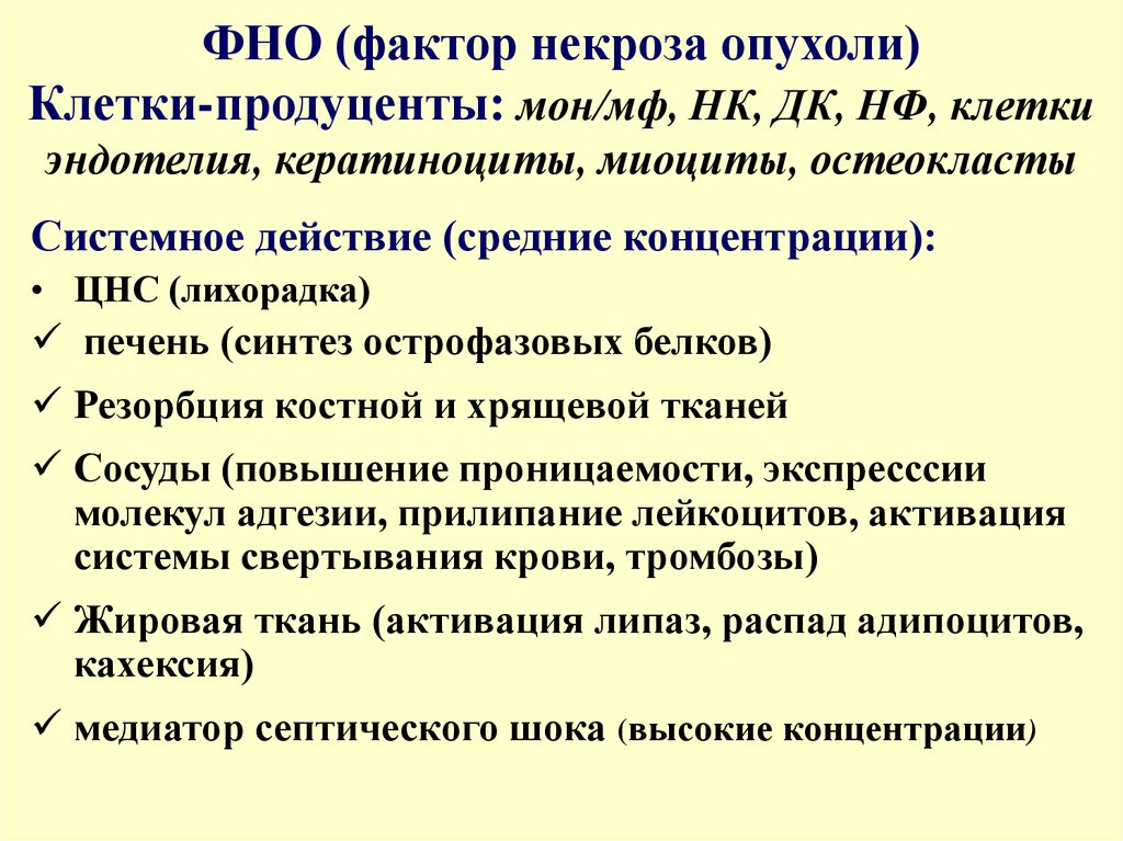 Коды окфс: что это такое и каковы расшифровки цифр 12, 13, 14, 23, 34, 41 по этому классификатору?