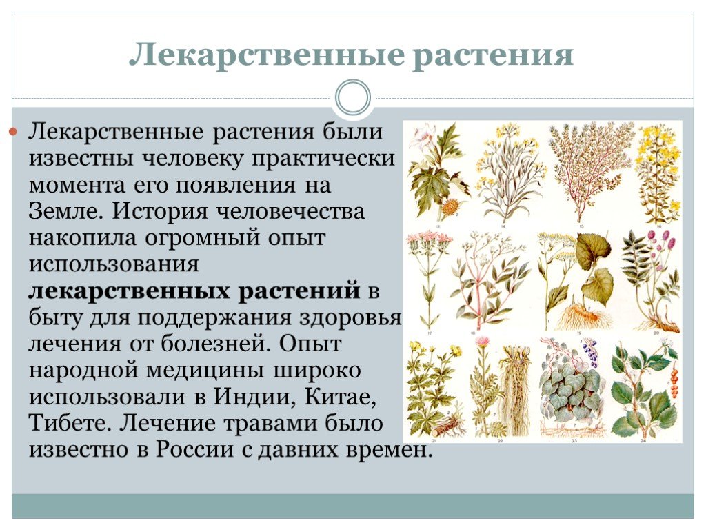Проведение и виды культивации почвы