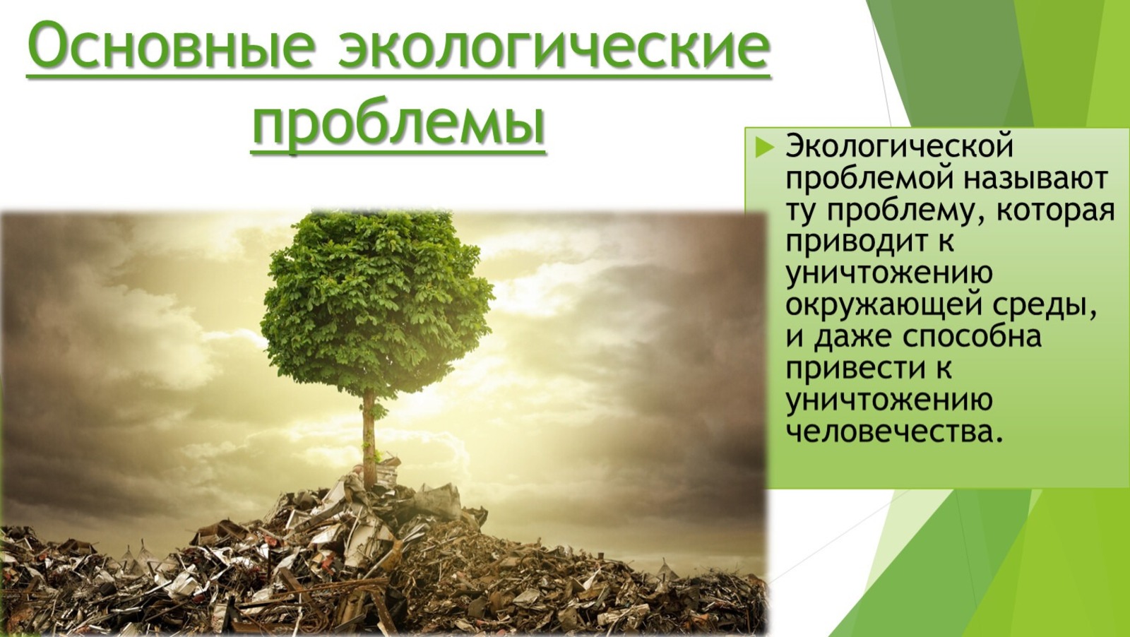 Что такое природная среда определение?