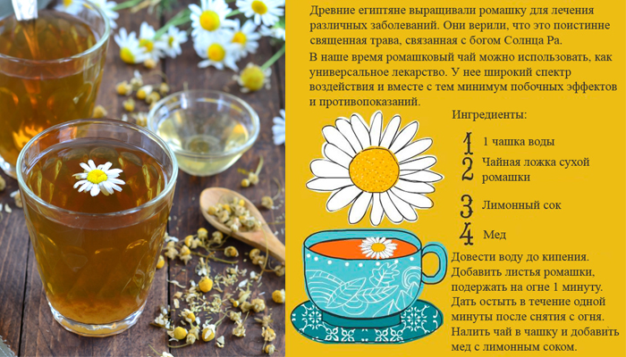 Ромашковый чай для мужчин: 8 полезных свойств + 4 особенности применения