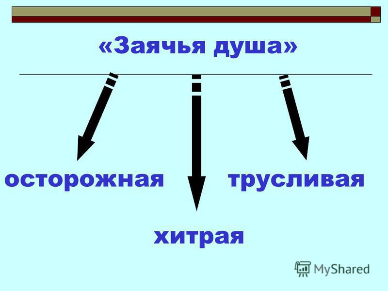 Что значит фразеологизм заячья душа