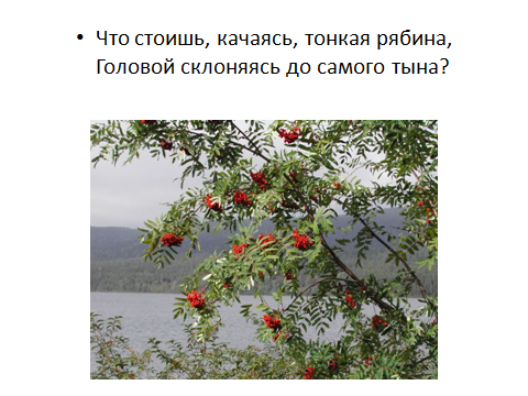 Что означает склониться до самого тына: значение и происхождение выражения
