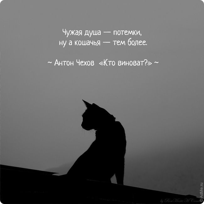 Чужая душа потемки значение пословицы