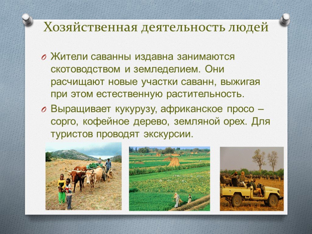 Хозяйственная ⭐ деятельность человека: что к ней относится, определение основной, кратко