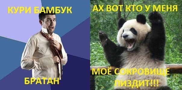 Что значит курить бамбук: раскрытие тайн и польза | гид по китаю