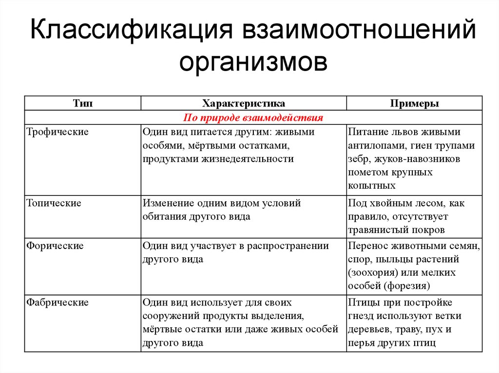 Экология
