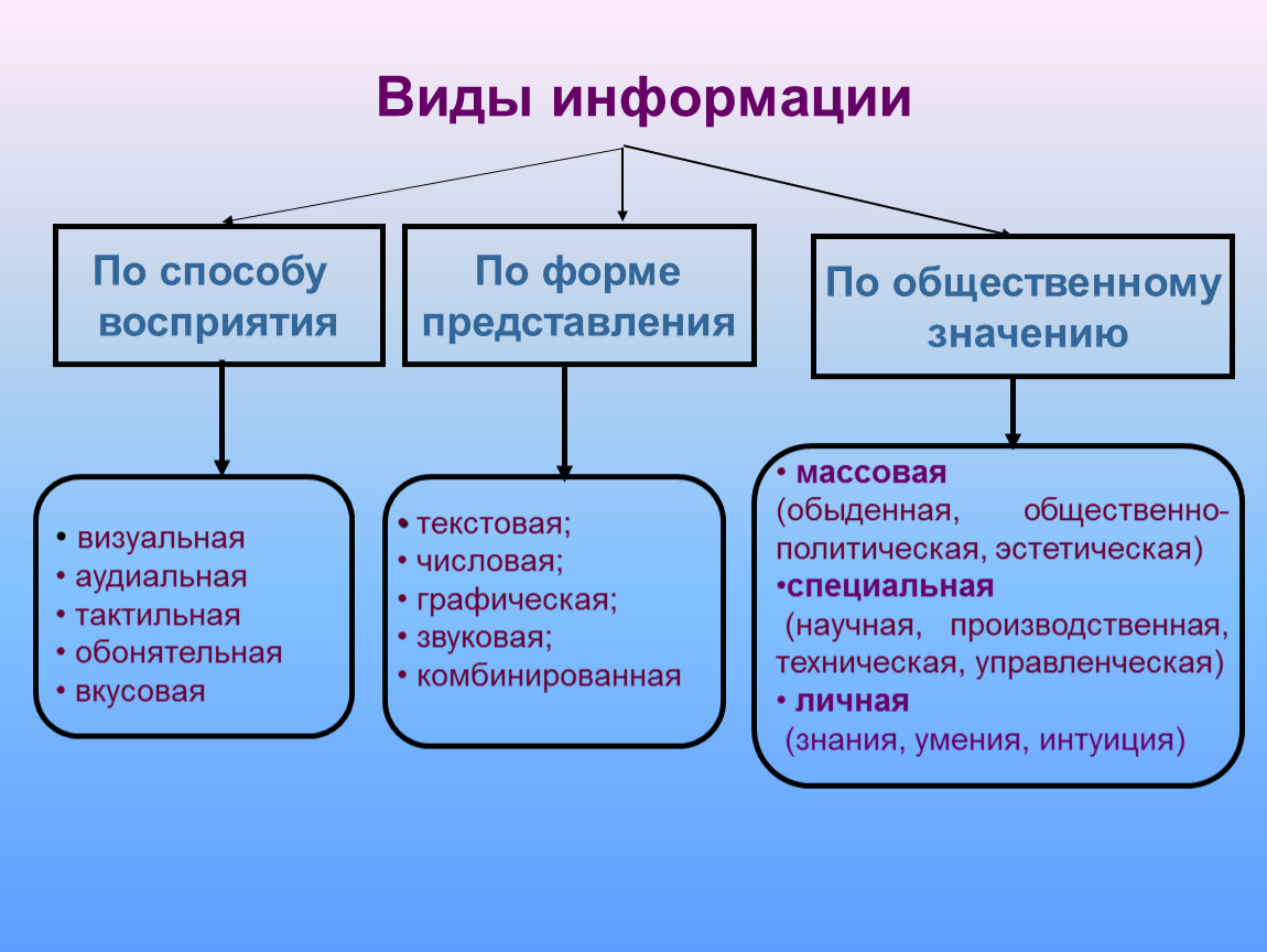 Глава 1 ощущение. общая психология