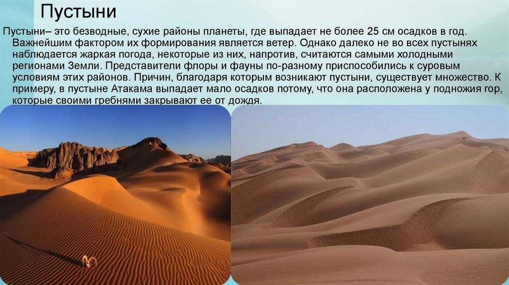 Характеристики тропического климата, местоположение, виды, растительность и фауна