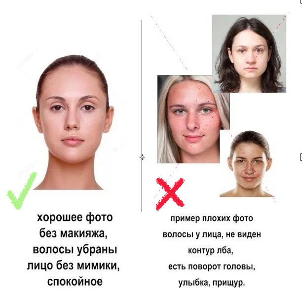 Анфас и фас: чем они отличаются и есть ли разница