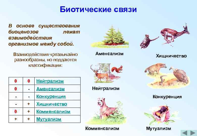 Взаимовыгодные отношения
 - большая энциклопедия нефти и газа, статья, страница 1