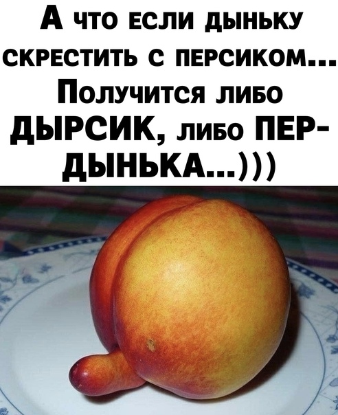 Что такое зафорсили сленг: разбираемся в значениях популярных выражений