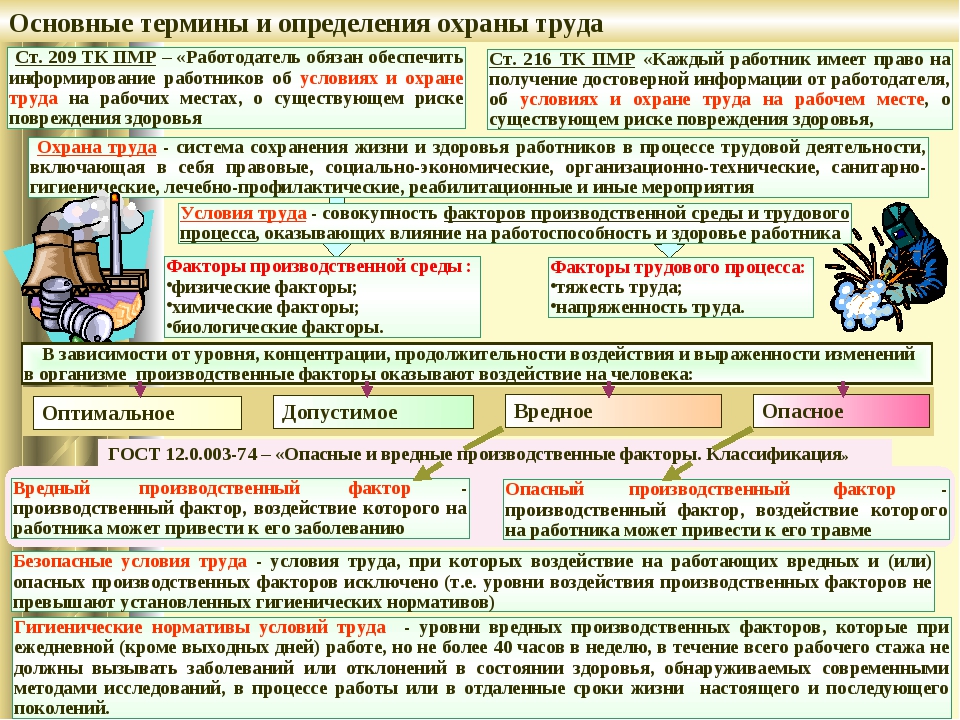 Классификация товаров: методы, признаки, виды, примеры
