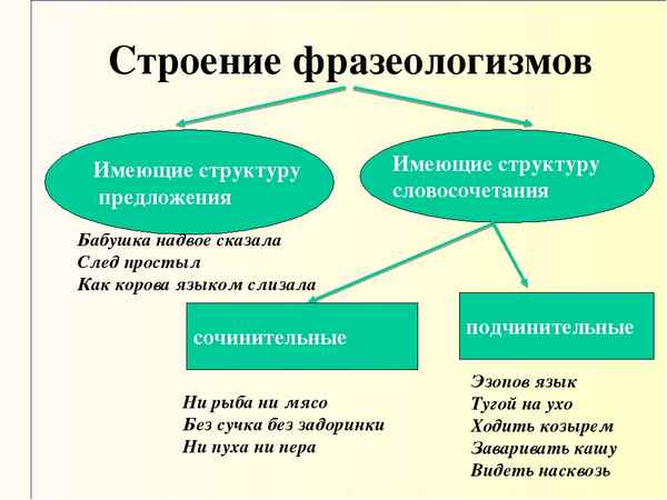 Откуда произошли и что значат популярные фразеологизмы