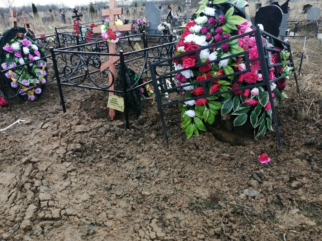 Раскопанная могила с покойником. приснилась раскопанная могила во сне