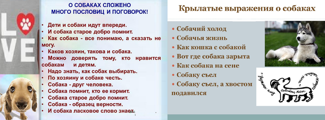 Фразеологизмы со словом собака с объяснением