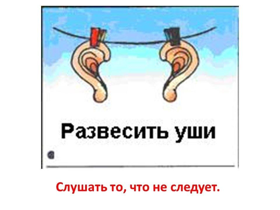 Происхождение фразеологизма прожужжать все уши. фразеологизмы со словом «ухо» и их значение (с примерами)
