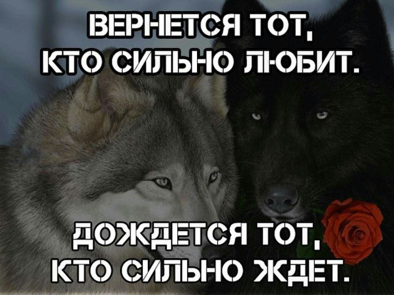 8 разрушительных фраз, которые нужно убрать из своей жизни