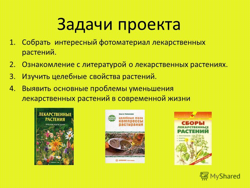 Толстый словарь | русский | культивировать