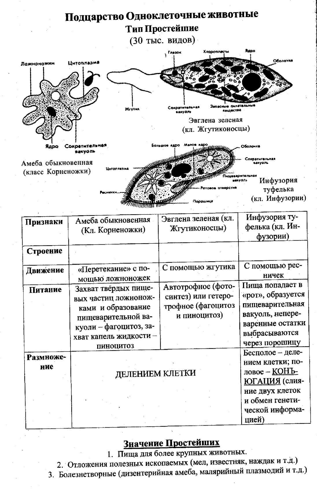 Внутренняя среда организма