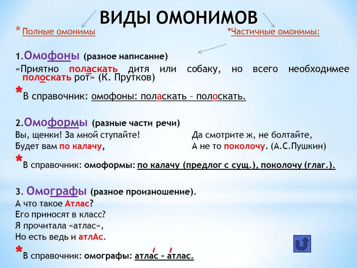 Многозначное существительное: определение, примеры и правила употребления