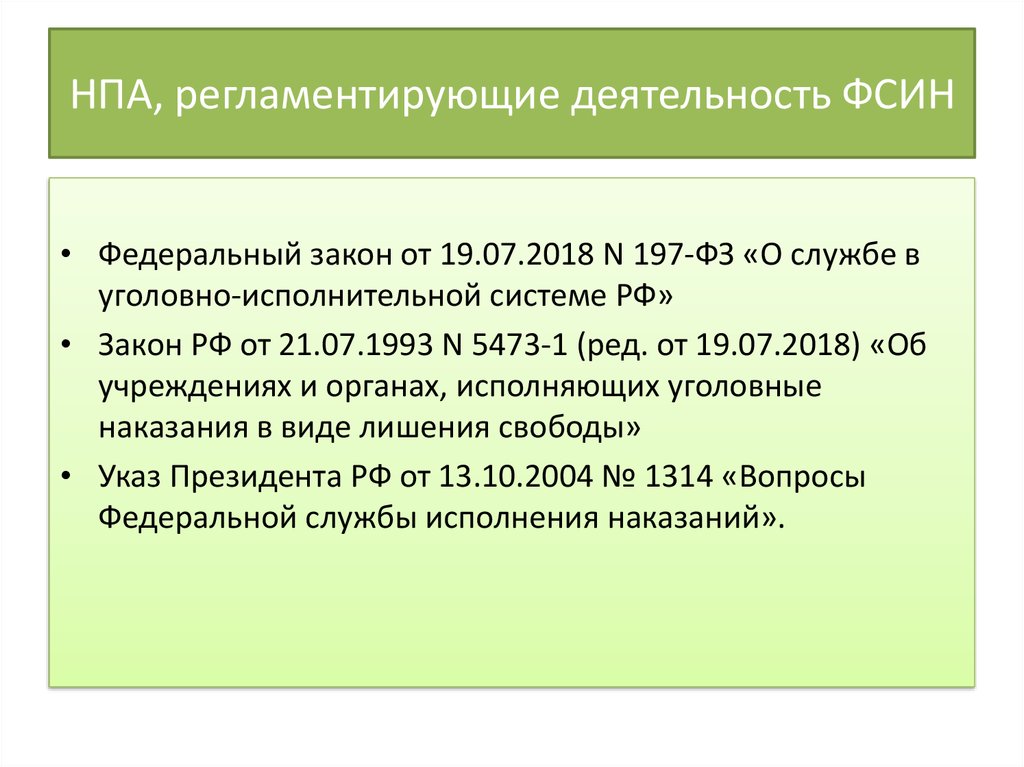 Государственная информационная система фсин