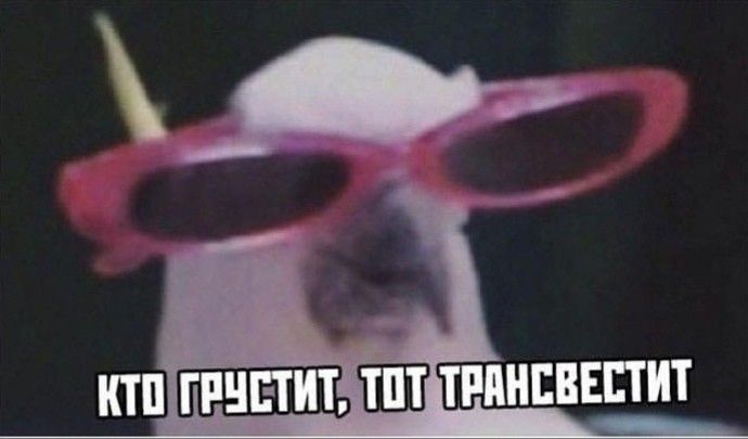 9 непонятных фраз, которые говорят подростки: что они означают? | кто?что?где?