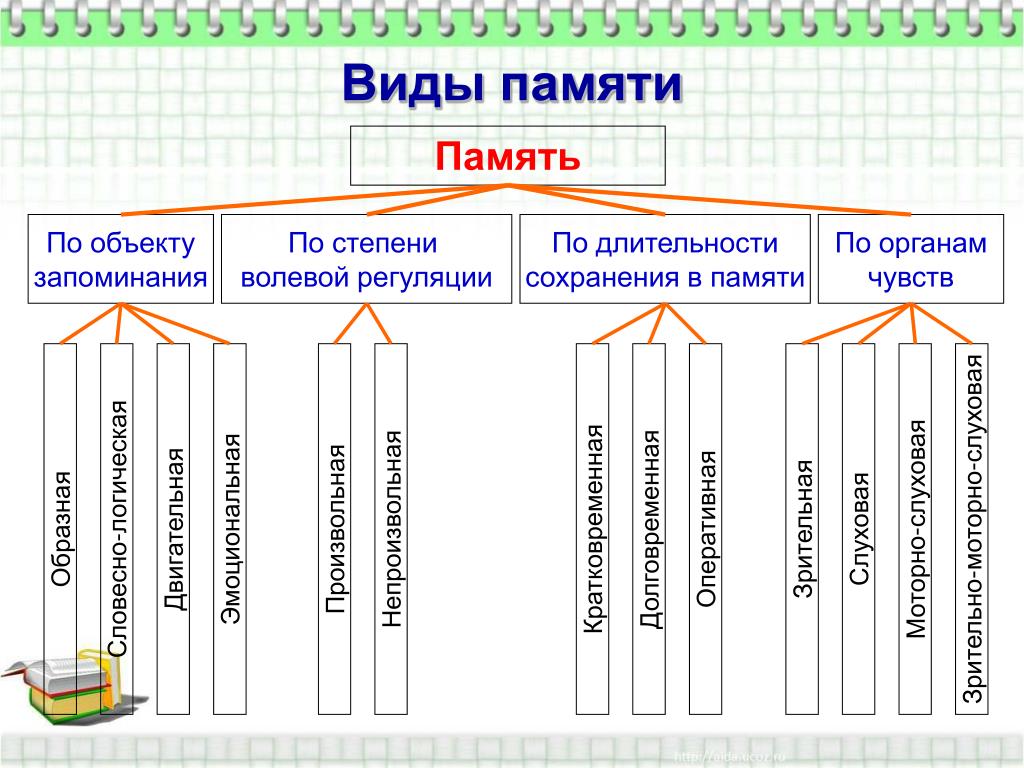Моторная память и её роль в развитии когнитивных компетенций