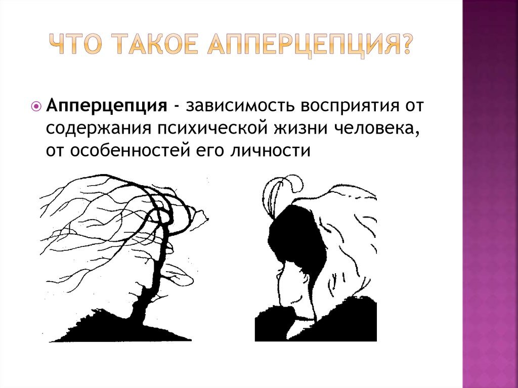 Почему от красивых вещей люди становятся счастливее