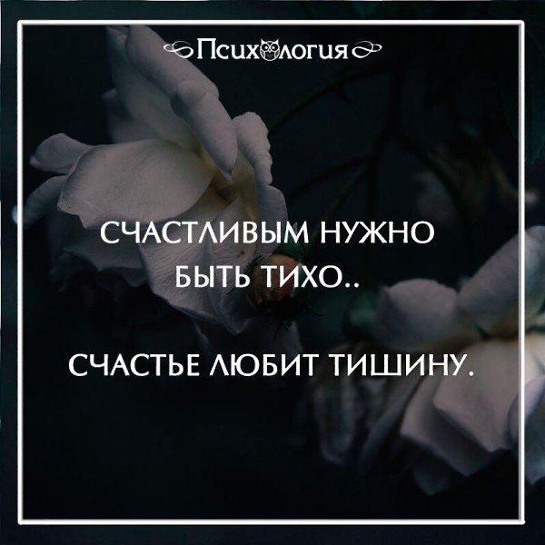 Счастье любит тишину смысл фразы - простыми словами