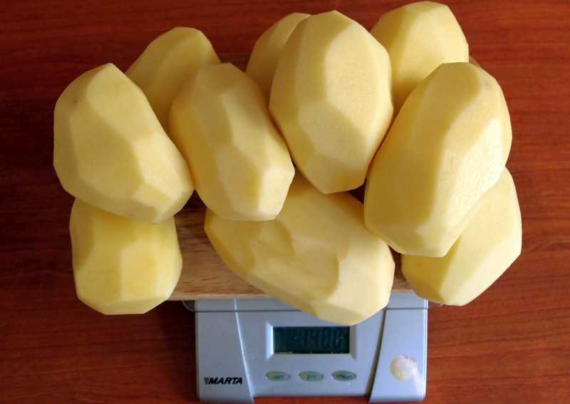 100 г картофеля это сколько штук. сколько штук картофеля в 100, 200, 300, 400, 500 и 600 граммах: подробный разбор — пузатик — все для мамы и ребенка