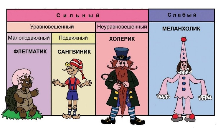 Типы темперамента человека и их краткая характеристика