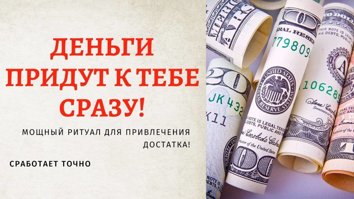 Почему кошки самые популярные домашние животные в мире?