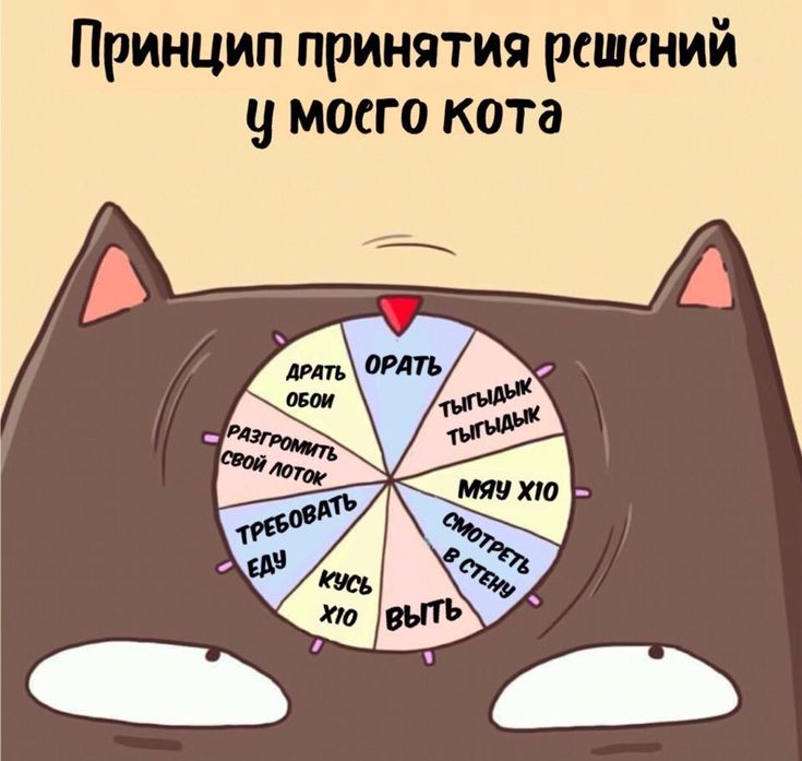 Что такое тыгыдык? полное объяснение понятия тыгыдык