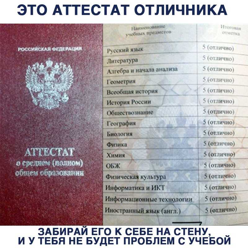 Аттестат  9 класс 2024: какие оценки идут, как выглядит