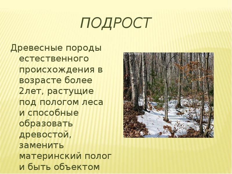 Что такое полторашка рост и как он определяется